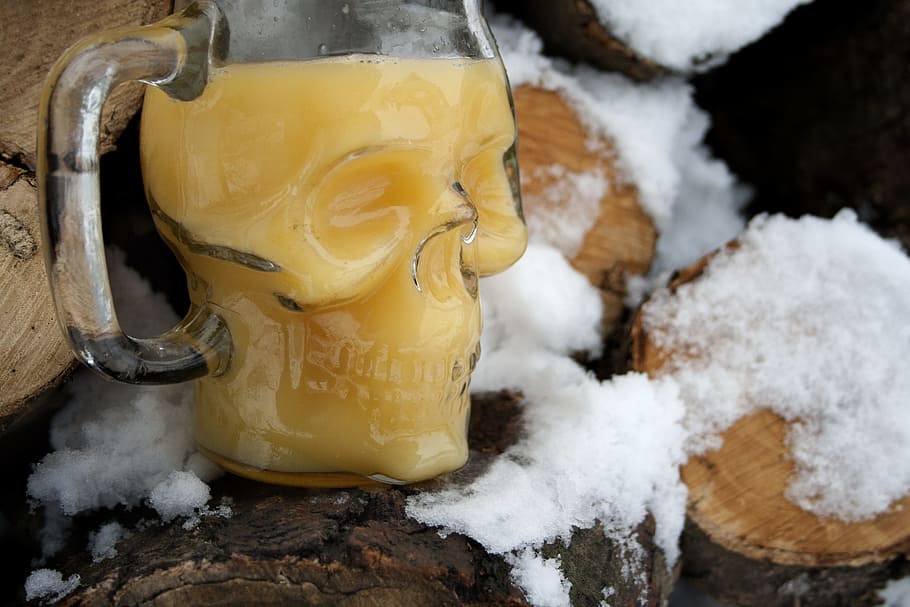 Clear Glass Skull Figure Mug, cold, ice, icee, juice, logs, wood HD wallpaper