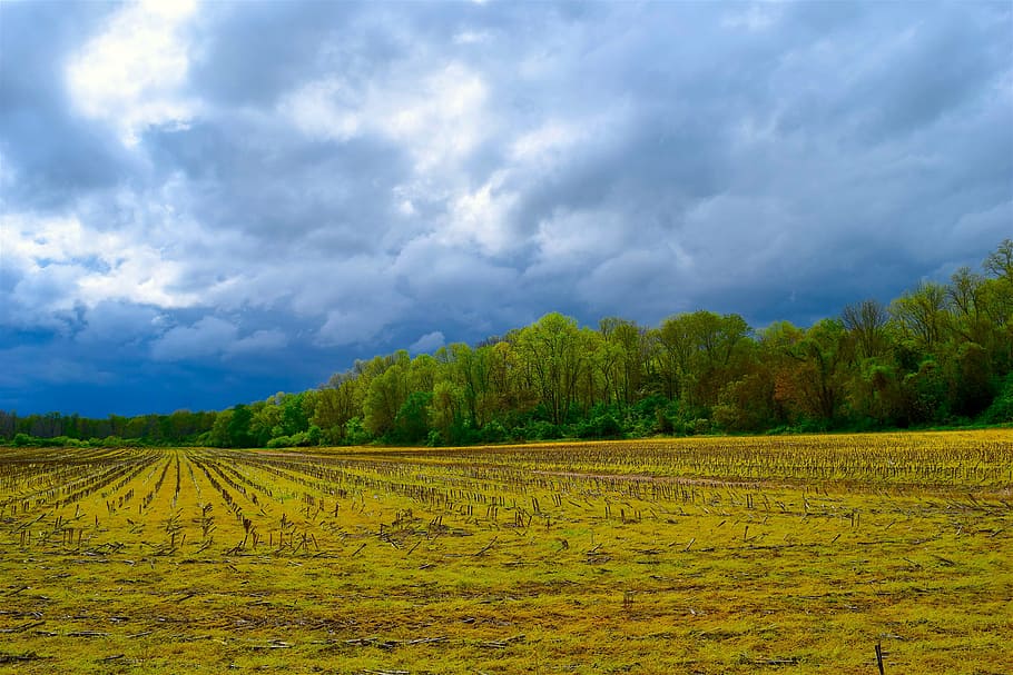 farm, sky, trees, agriculture, nature, field, rural, landscape HD wallpaper