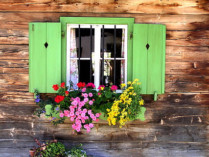 green wooden window cabinet, baita, window grilles, old window HD wallpaper