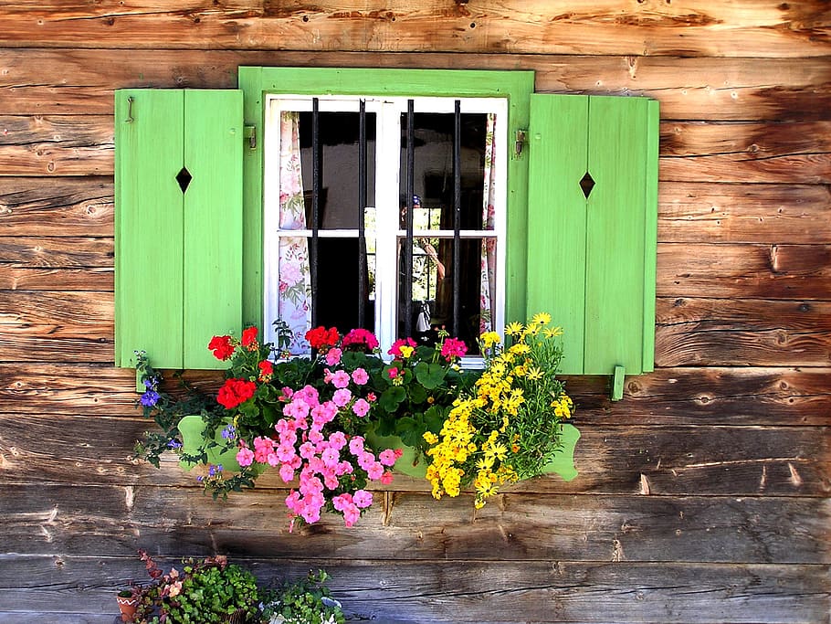 green wooden window cabinet, baita, window grilles, old window HD wallpaper