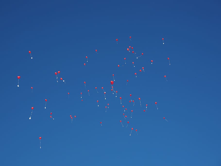 balloons, fly, wedding, congratulations, rise, upgrade, heart HD wallpaper