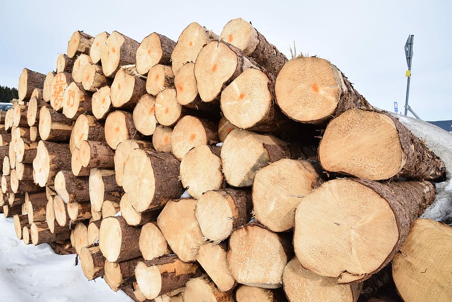 Log, Wood, Forestry, Timber, Firewood, stack, large group of objects HD wallpaper