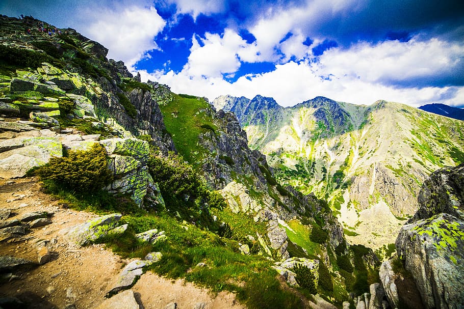 mountain, green, landscape, nature, snow, flowers, pierre, holiday HD wallpaper