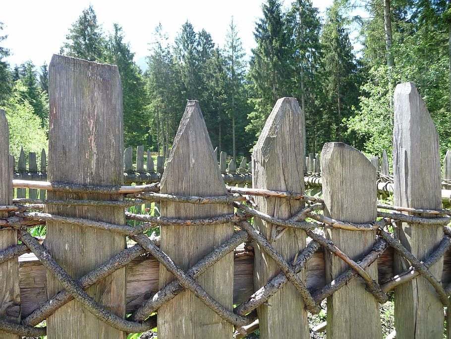 fence, wood, weathered, plant, tree, wood - material, barrier HD wallpaper