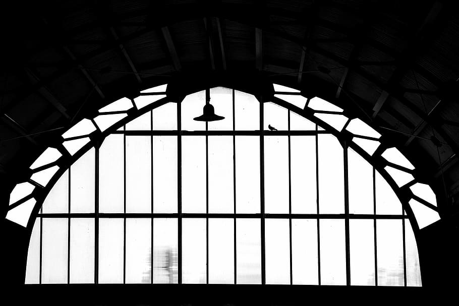 station, harlem, bird, architecture, window, built structure HD wallpaper