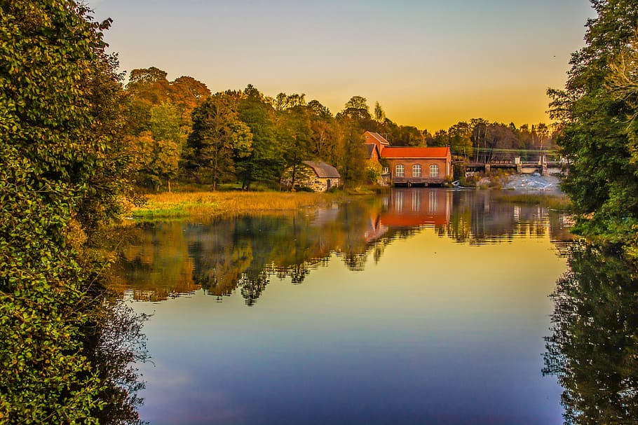 reflection, river, nature, tree, landscape, water, plant, lake HD wallpaper