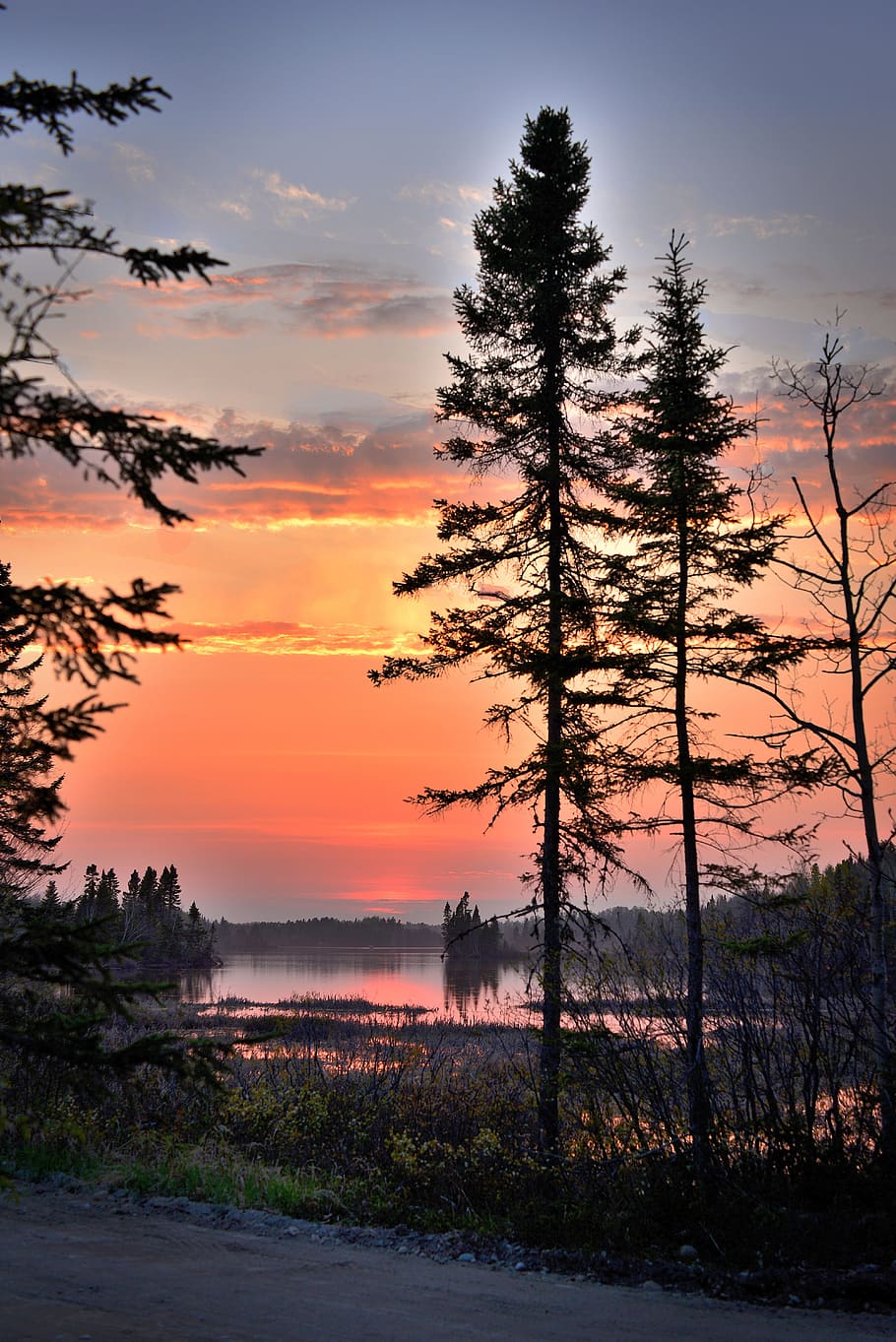 silhouette of trees near water, sunset, twilight, lake, sky HD wallpaper