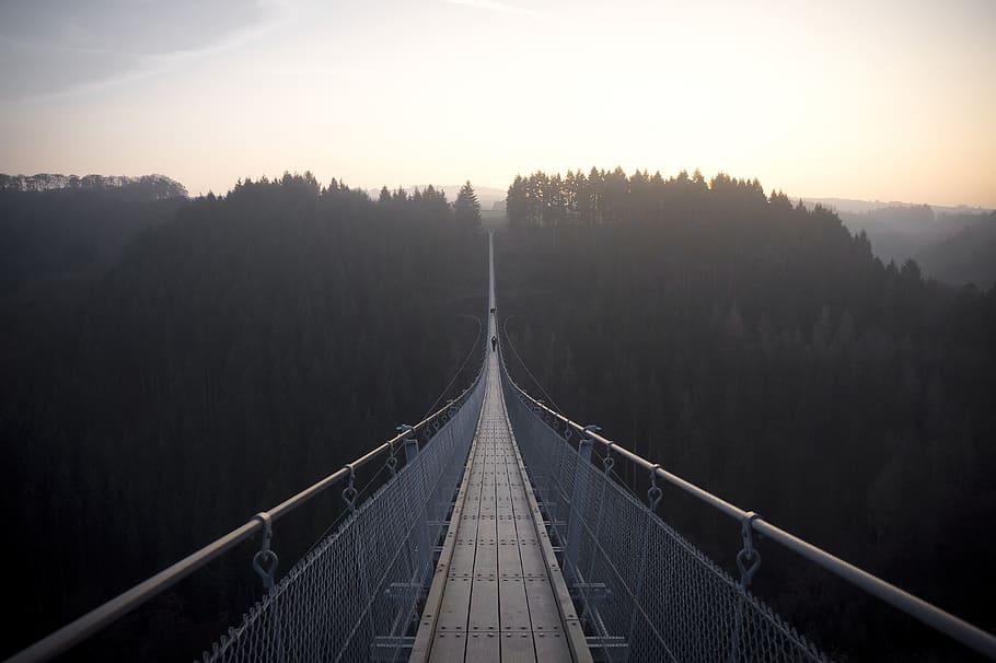 gray bridge, bridge during golden hour, daytime, cable, forest HD wallpaper