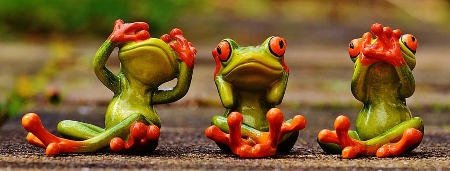 three green frog sitting on street illustration, frogs, not see HD wallpaper