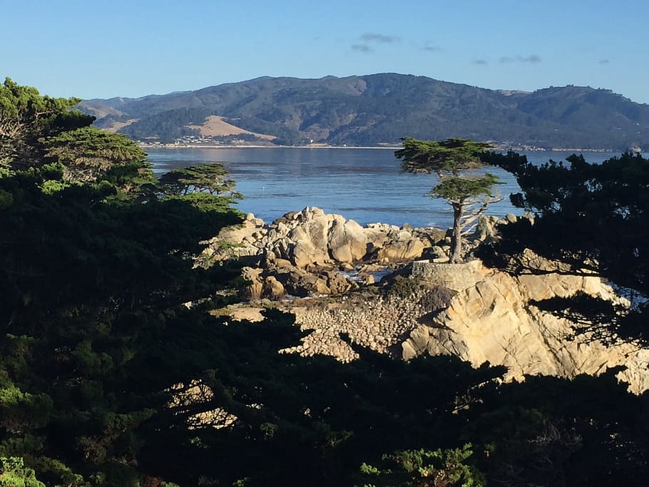 Hd Wallpaper California 17 Mile Drive Coast Pacific Landscape Cypress Wallpaper Flare