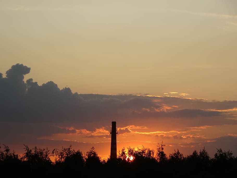 evening, sky, sunset, silhouette, plant, tree, orange color HD wallpaper