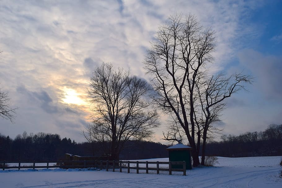 winter, tree, nature, snow, landscape, white, sky, clouds, fence HD wallpaper