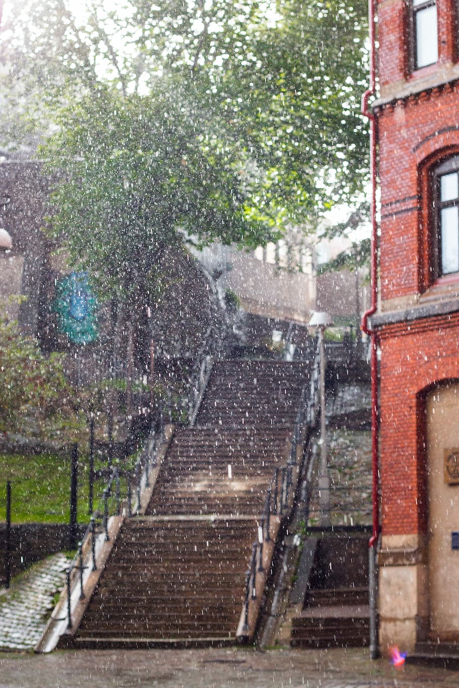 rainfall on building and stairs, brown concrete stairs under tall green tree near red bricked building at rainy day