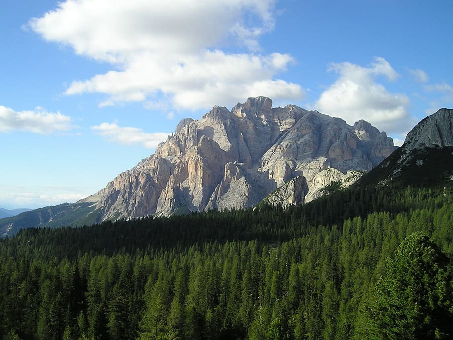 Dolomites, Mountains, Forest, Alpine, south tyrol, italy, nature HD wallpaper