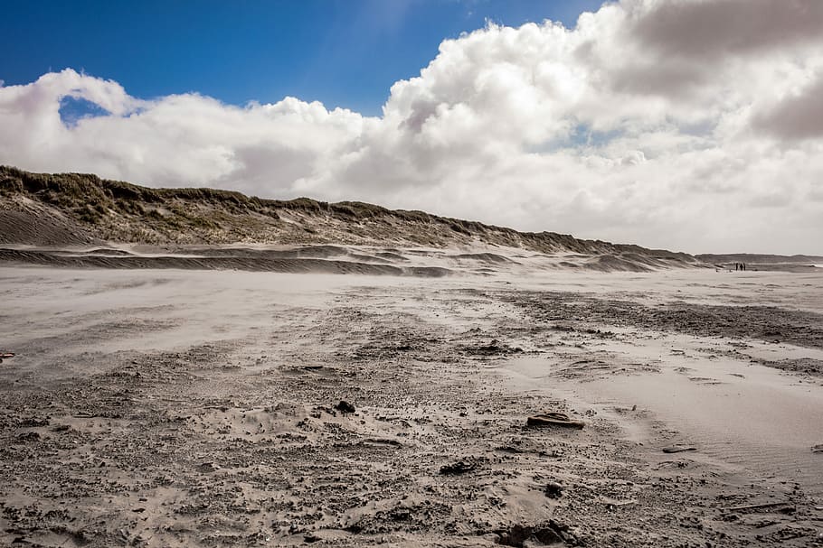 brown sand, dried field under cloudy sky during daytime, sandy HD wallpaper