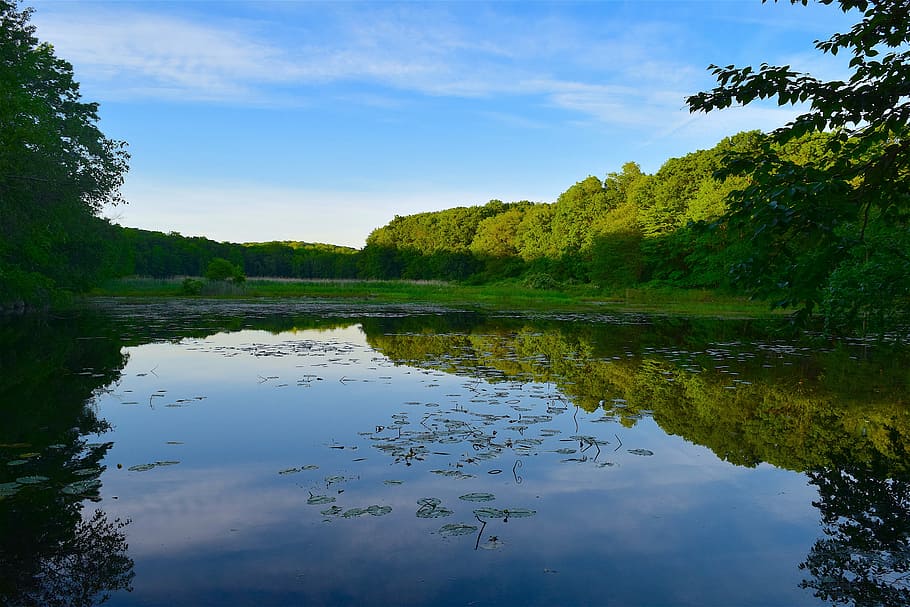 lake, water, reflection, nature, landscape, blue, sky, sunset HD wallpaper