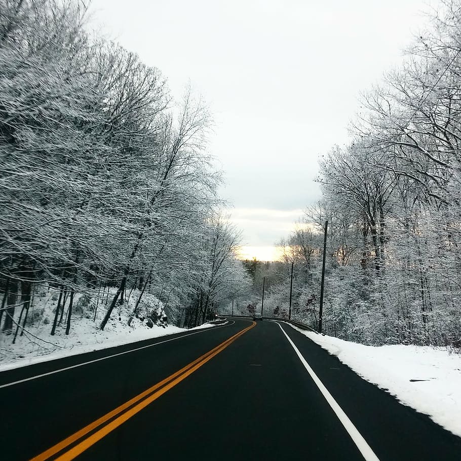 straight road between leafless trees covered with snow, path HD wallpaper