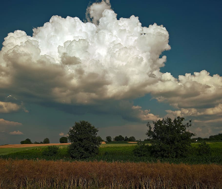 fields, cloud, landscape, summer, nice day, blue sky, nature HD wallpaper