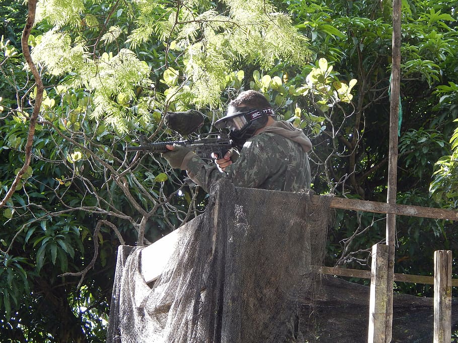 shooter, sight, paint ball, plant, tree, animal wildlife, animal themes HD wallpaper