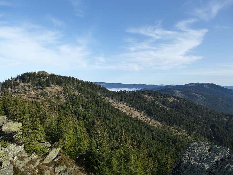 Panorama, Forest, Mountain, nature, landscape, scenics, tree HD wallpaper