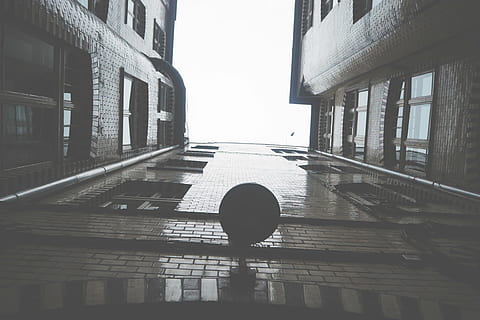 architecture, brick walls, bricks, bright, building, glass HD wallpaper