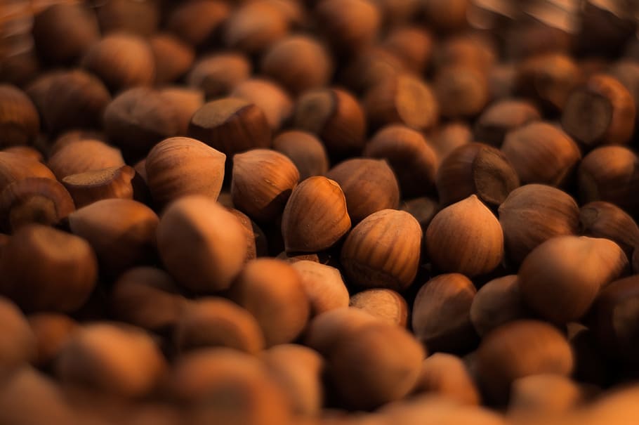 Macro Shot Brown Nuts, food, hazelnuts, food and drink, large group of objects