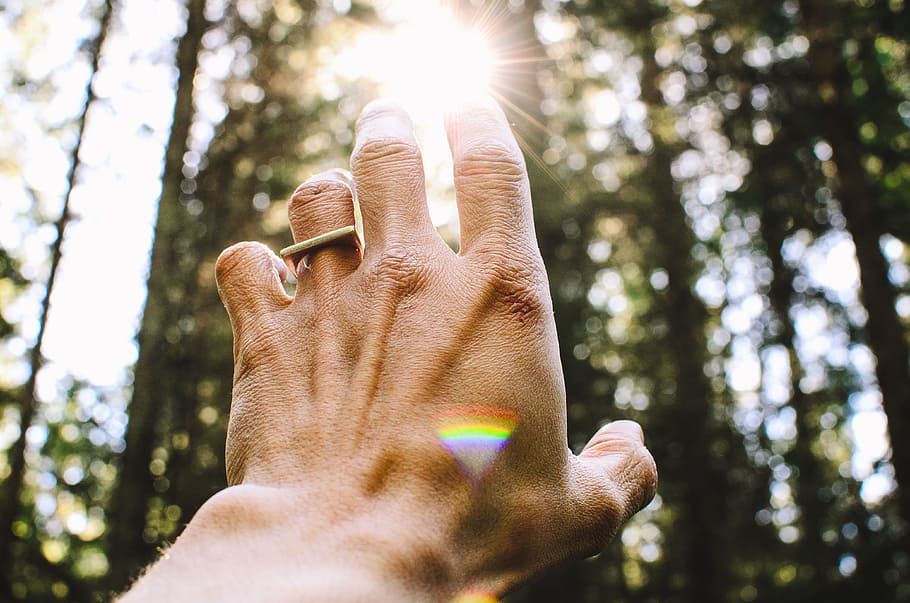 person's hang reaching out sunlight, photo of person's hand pointing sun HD wallpaper