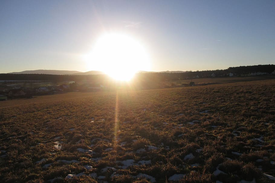 Sunset, Meadow, Evening, lens flare, field, sunlight, tranquility HD wallpaper