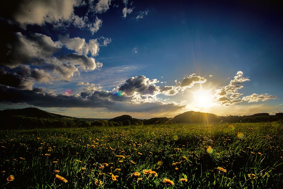 meadow, sun, sunset, clouds, sky, beauty in nature, scenics - nature HD wallpaper