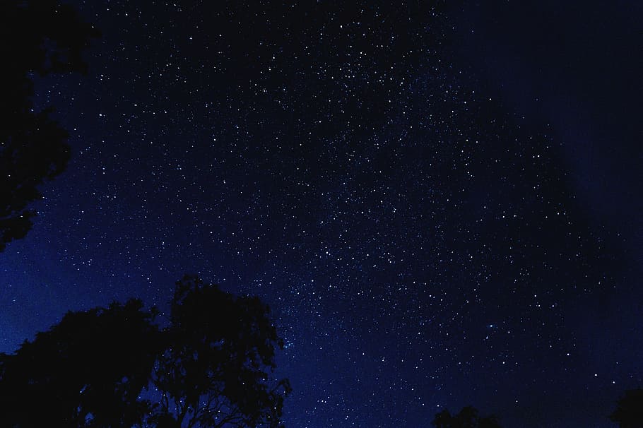 stars at the sky during nighttime, beautiful, dark, evening, idyllic, HD wallpaper