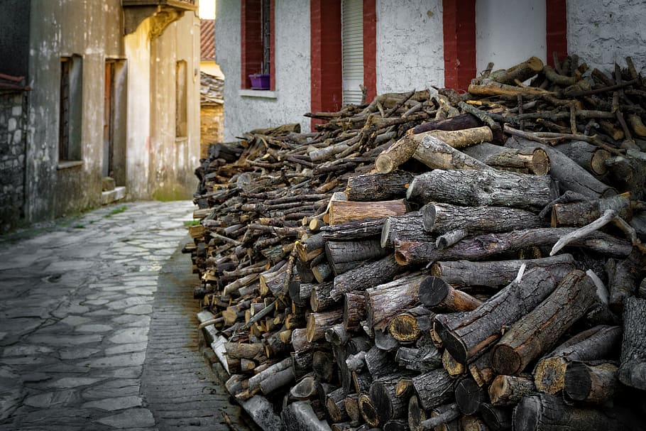 street, trees, pavement, tree trunks, cement, exterior, logs HD wallpaper