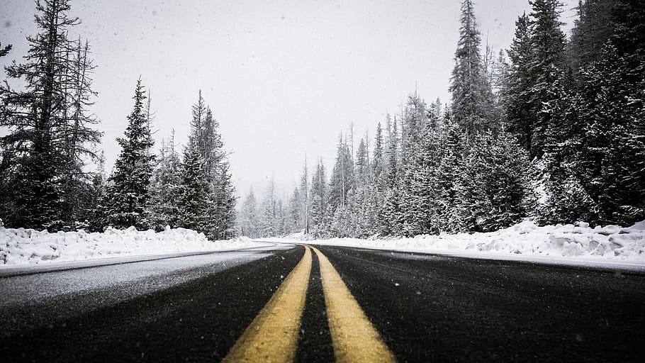 black road, gray road, snow, cold, winter, forest, asphalt, snowy HD wallpaper