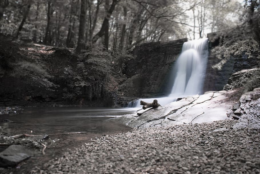 waterfall, tree, nature, landscape, beautiful, forest, trees HD wallpaper