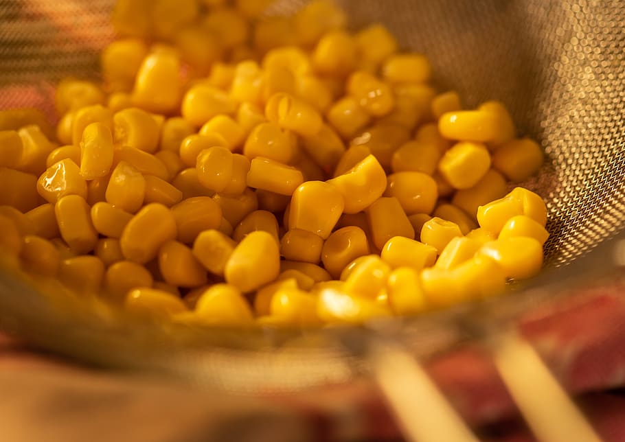 corn, colander, drain, vegetables, sweet, yellow, fresh, bio HD wallpaper