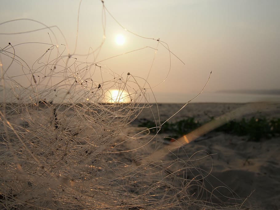 hai bian, fishing nets, the evening sun, nature, beach, sea, HD wallpaper