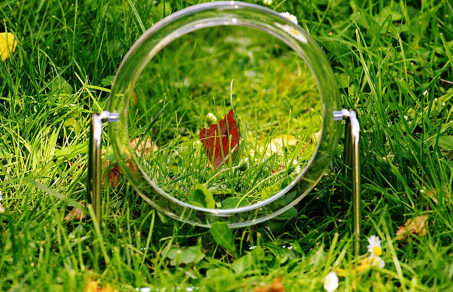 round vanity mirror on grass, meadow, mirror image, mirroring HD wallpaper