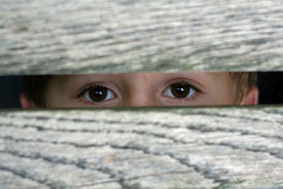 eyes, by looking, see, view, looking at camera, portrait, human body part HD wallpaper