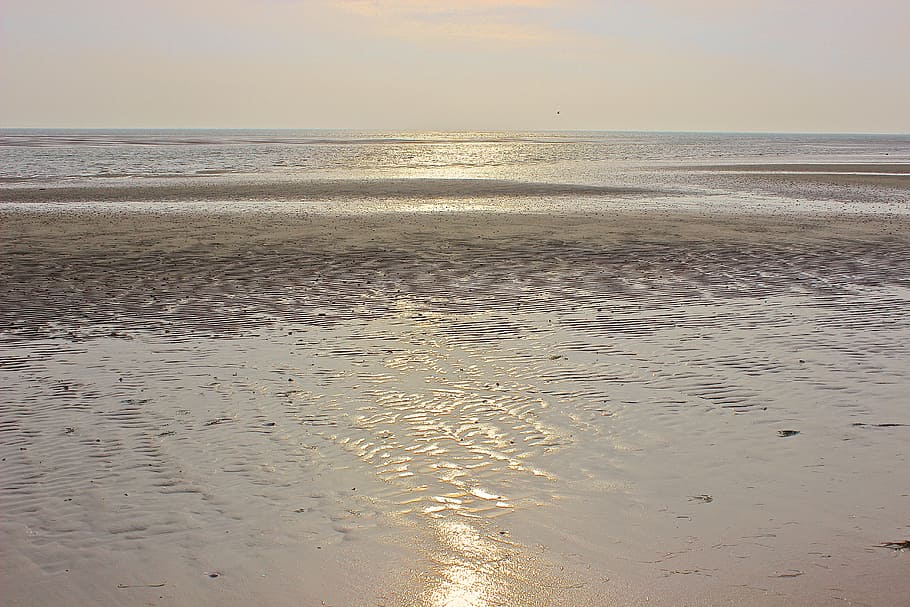 Sea, Beach, Ebb, Sunset, North Sea, nature, water, horizon over water HD wallpaper