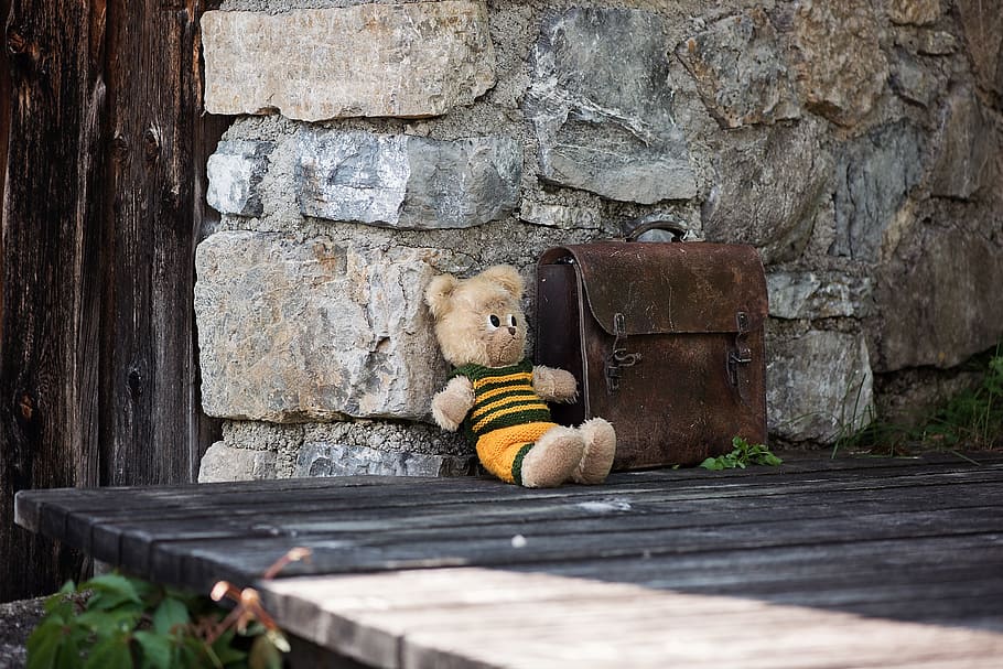 teddy, teddy bear, schoolbag, leather case, soft toy, alone, HD wallpaper