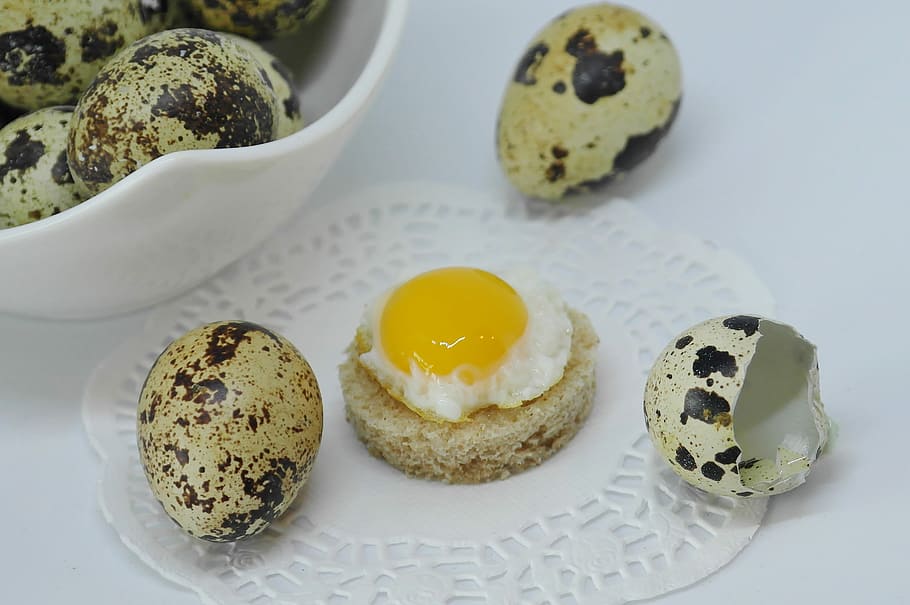 photo of quail eggs on table, shell, fried, cooked, eat, food HD wallpaper