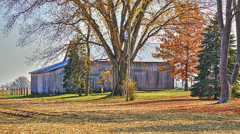 barn, rustic, barns, ohio, digital art, rural, scenic, country HD wallpaper