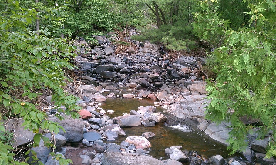 Stream, Water, Flowing, Nature, Rocks, stones, forest, greenery HD wallpaper