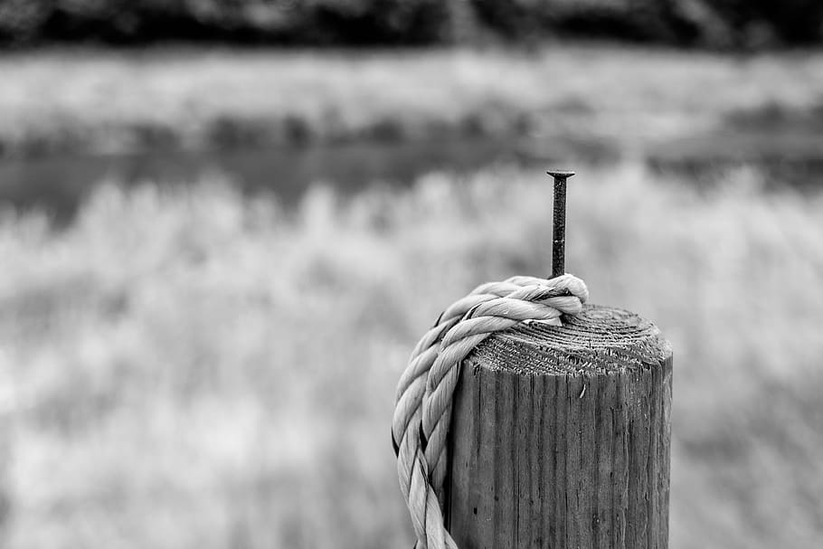 pile, rope, post, wooden posts, focus on foreground, water HD wallpaper