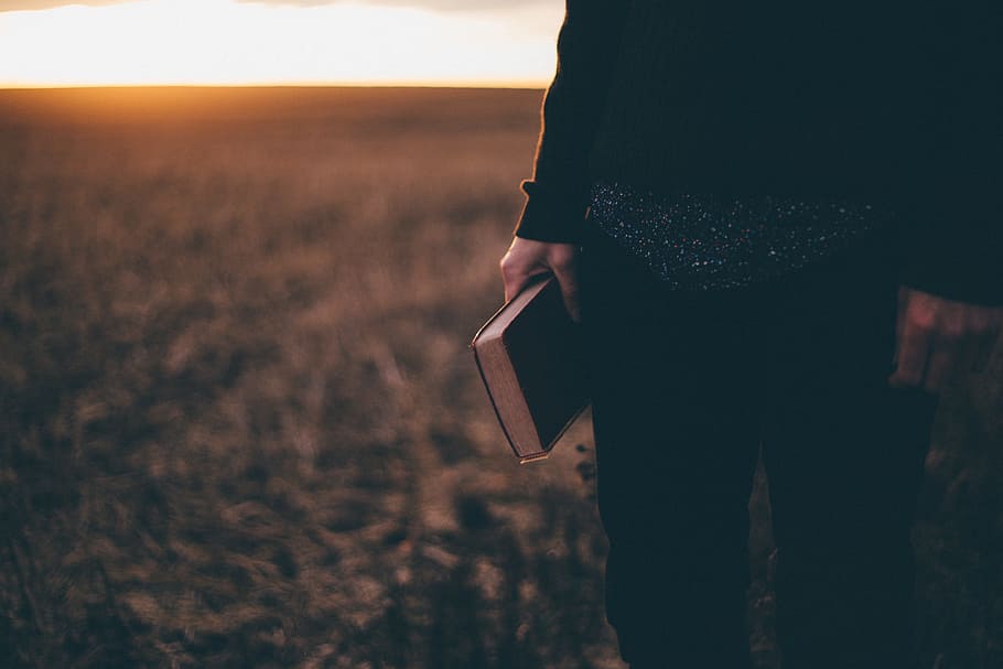 person holding book, people, man, nature, outdoor, sunset, sunrise HD wallpaper