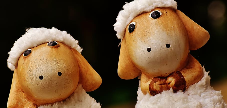 sheep, deco, ceramic, cute, figure, soft toy, wool, face, ungulate HD wallpaper