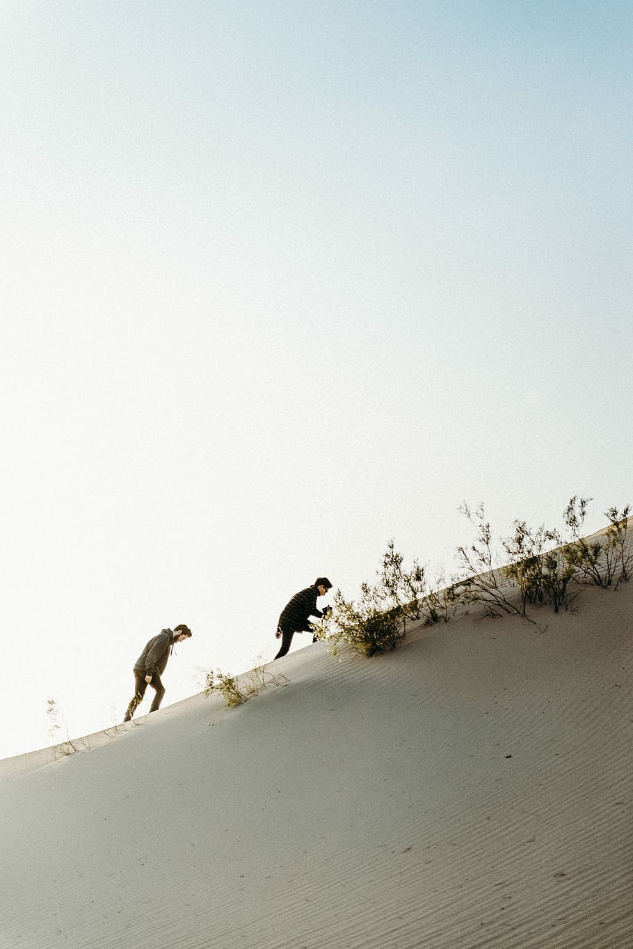 two men mountain climbing during dayting, two man climbing on mountain, HD wallpaper