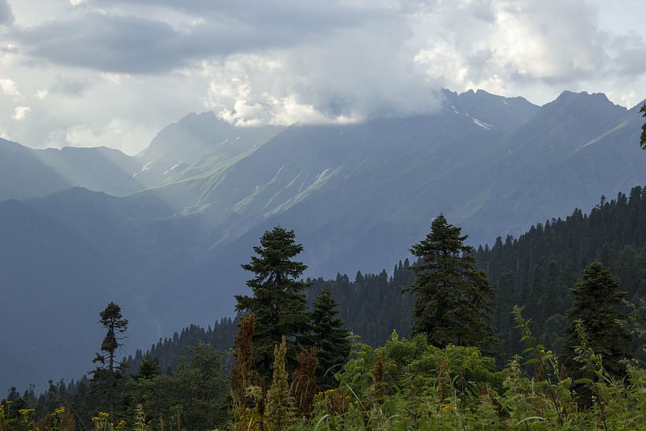 mountains, nature, clouds, landscape, grass, abkhazia, tree HD wallpaper