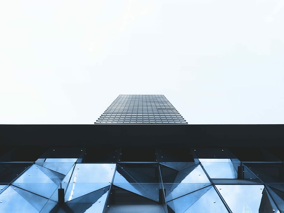 long angle photo of mirror wall high rise building under white sky HD wallpaper