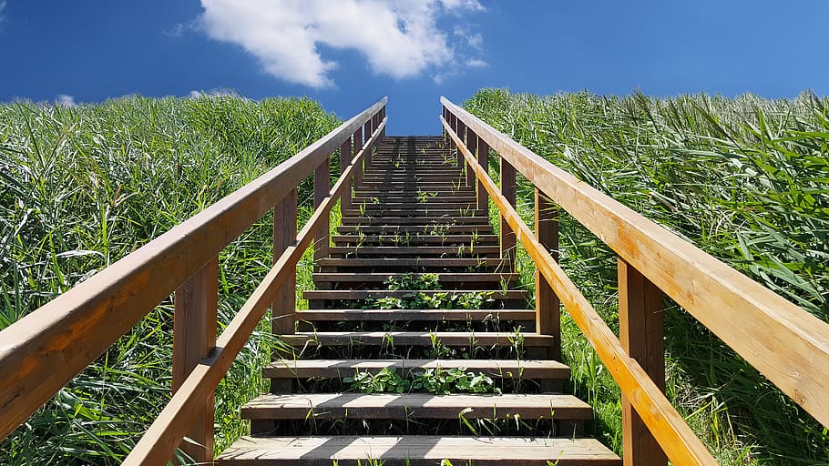 north sea, stairs, wood stairs, holidays, beach, sylt, friesland, HD wallpaper