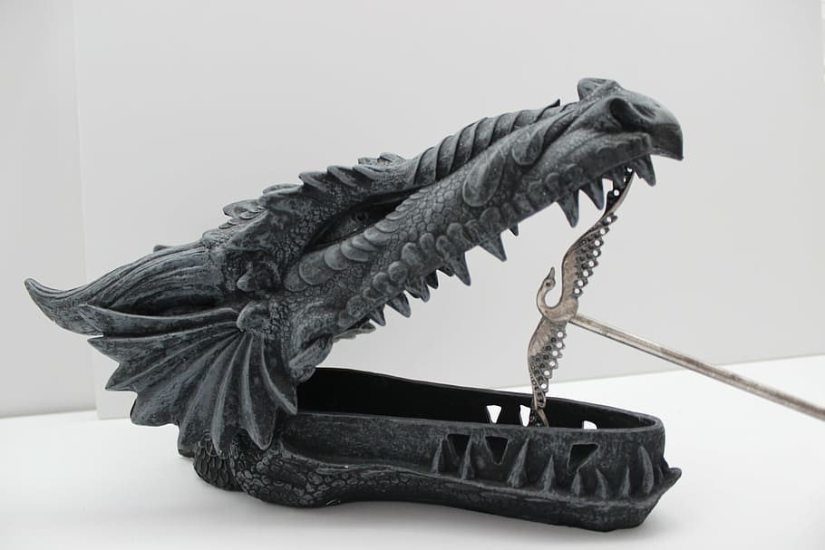 dragon, reptile, lizard, creature, head, monster, fantasy, dragons HD wallpaper